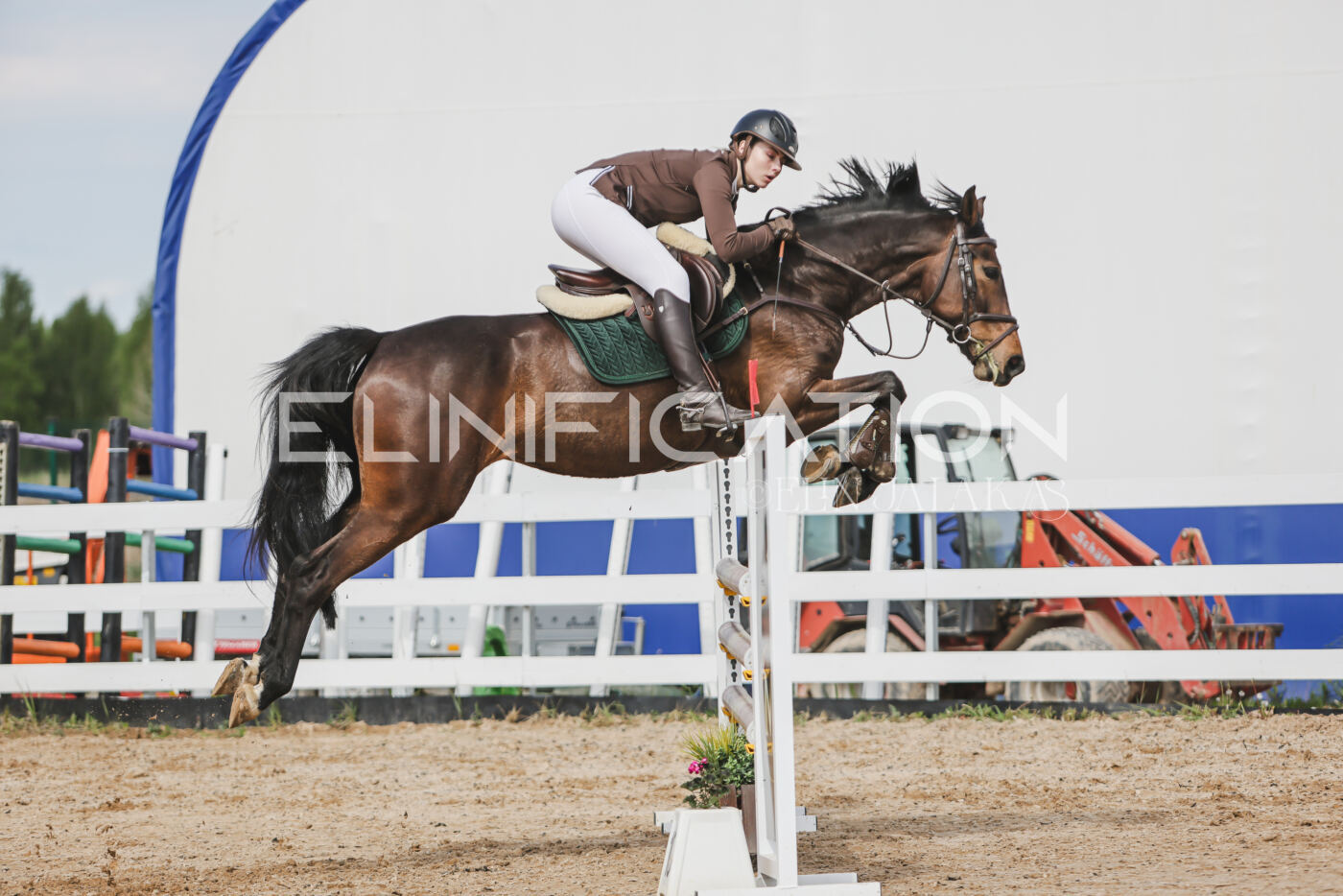 Gramina_Kevad_2026_110_348