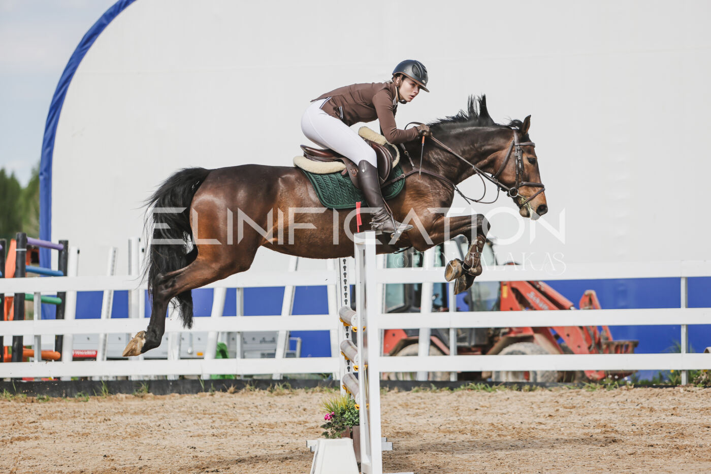 Gramina_Kevad_2026_110_349