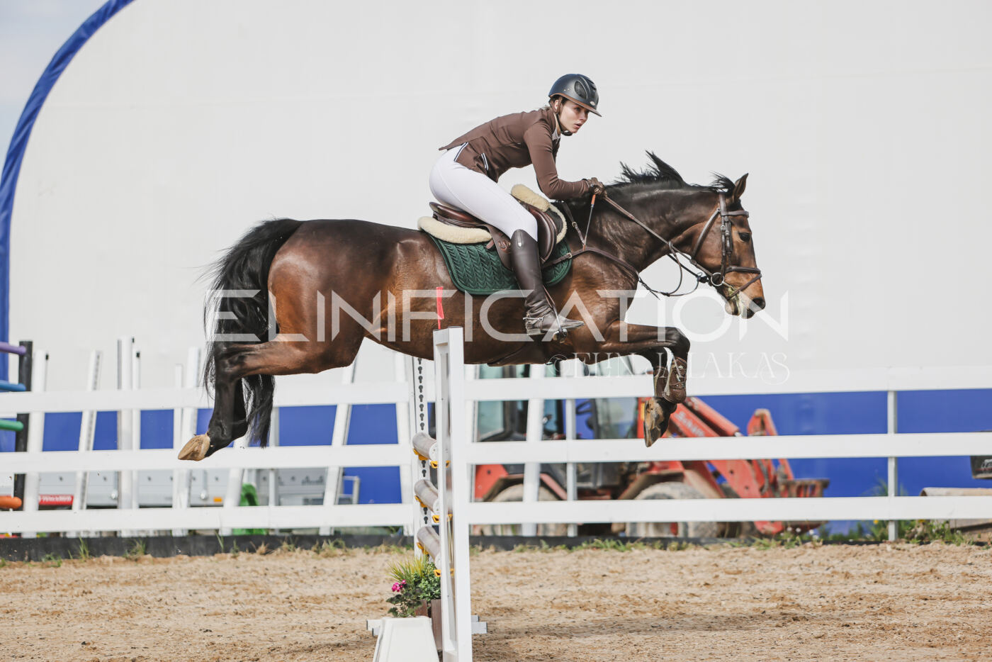 Gramina_Kevad_2026_110_350