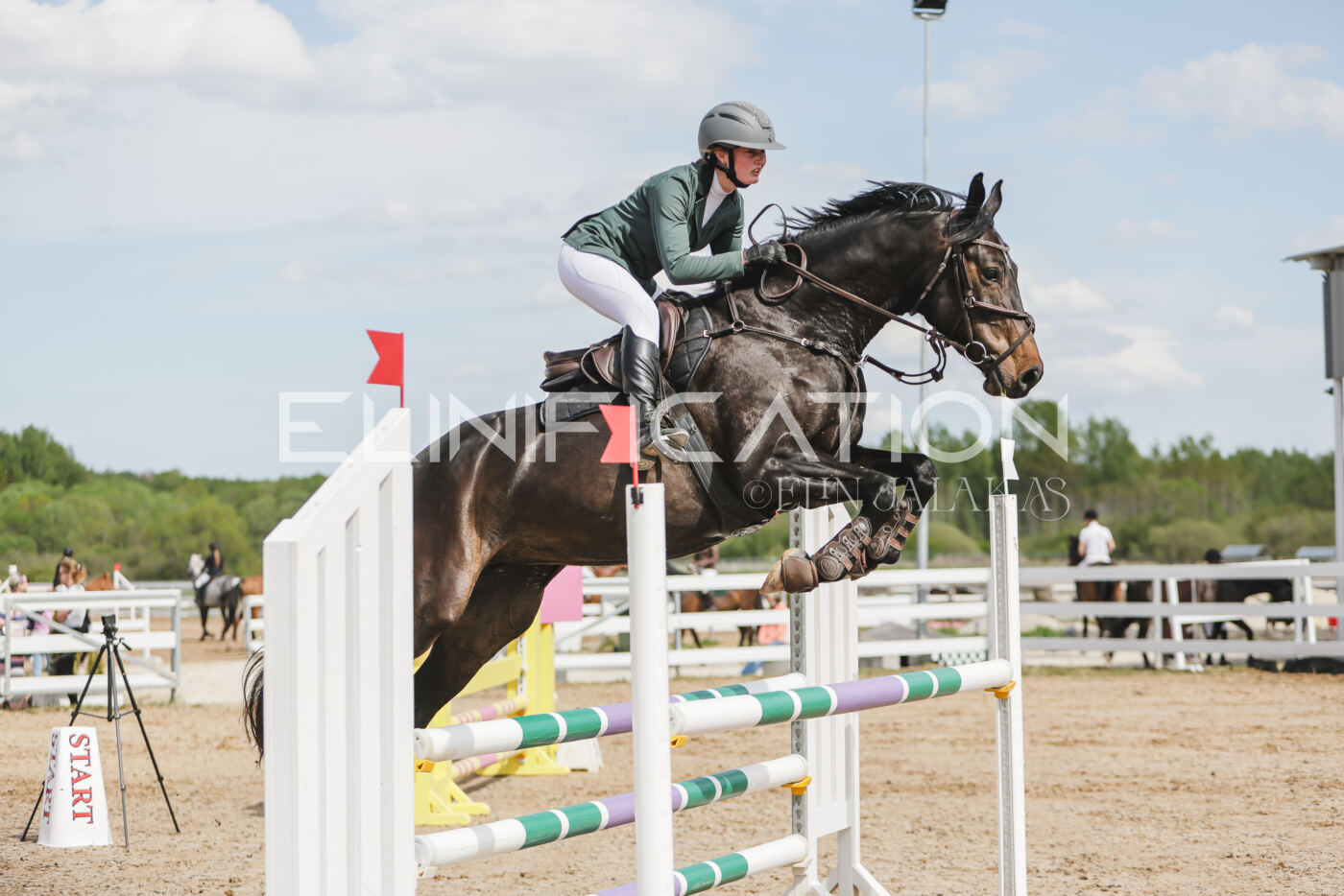 Gramina_Kevad_2026_110_351