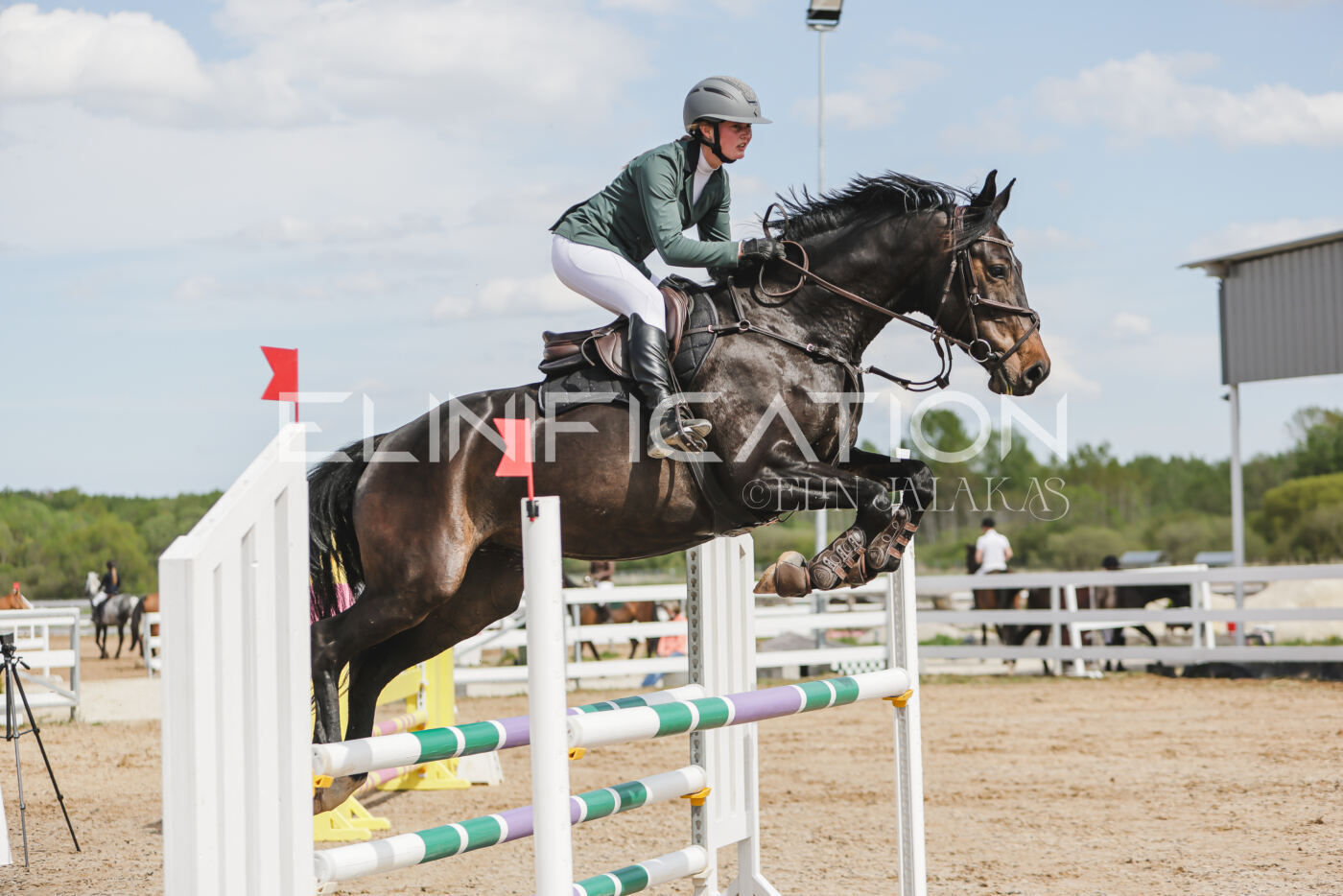 Gramina_Kevad_2026_110_352