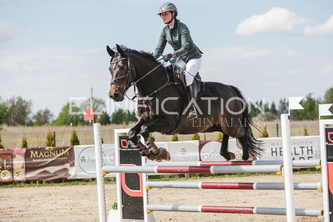 Gramina_Kevad_2026_110_358