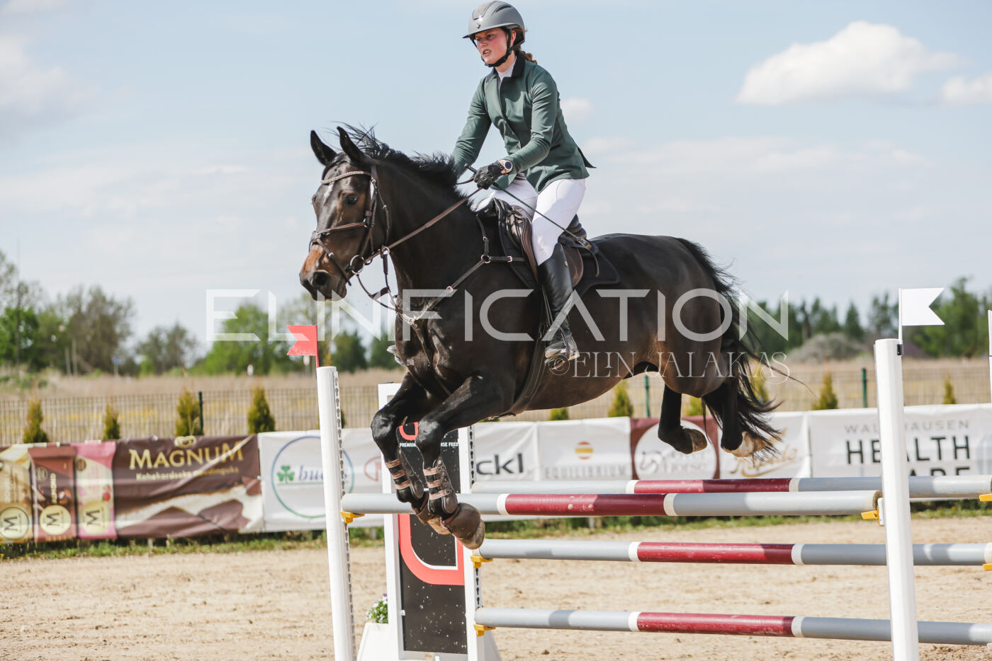 Gramina_Kevad_2026_110_359