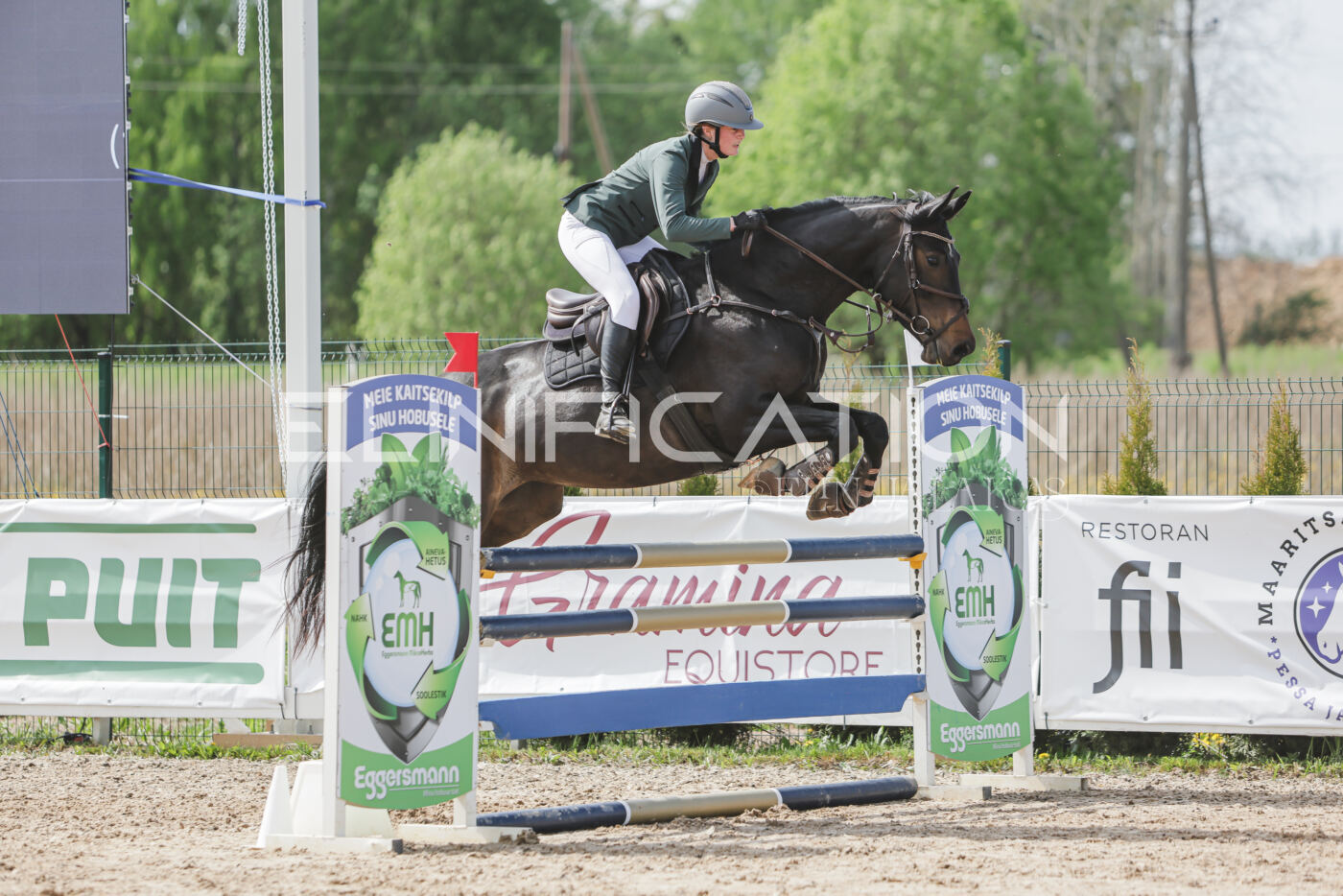Gramina_Kevad_2026_110_365