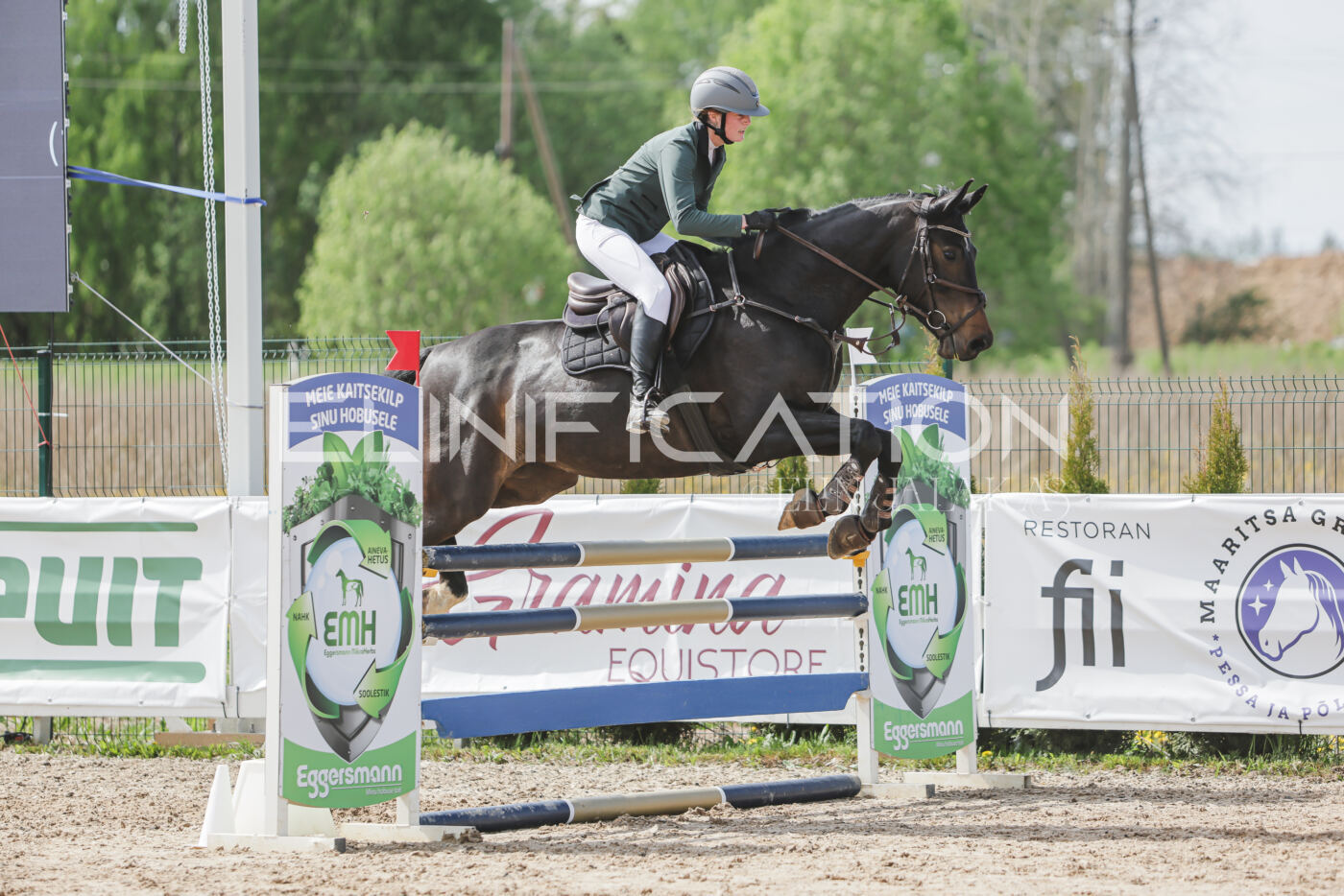 Gramina_Kevad_2026_110_366