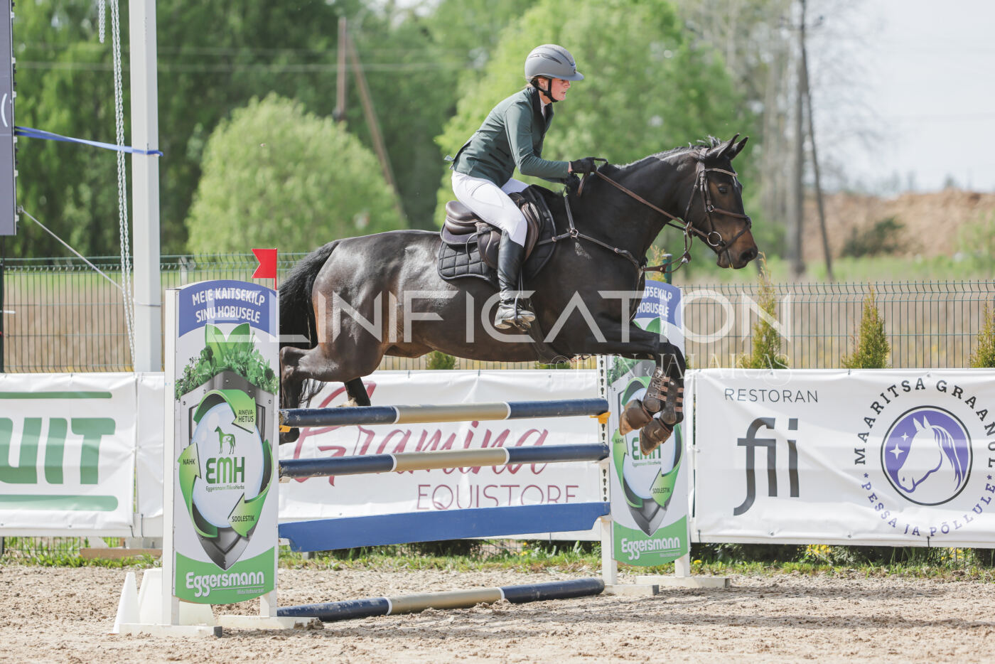 Gramina_Kevad_2026_110_367
