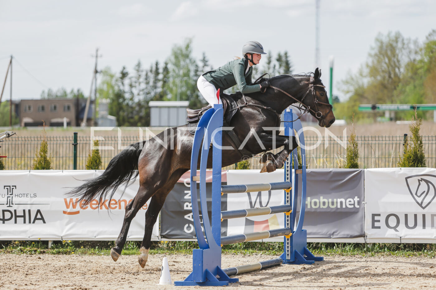 Gramina_Kevad_2026_110_370