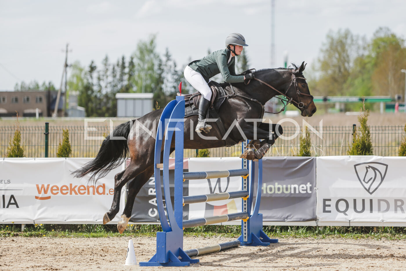 Gramina_Kevad_2026_110_371
