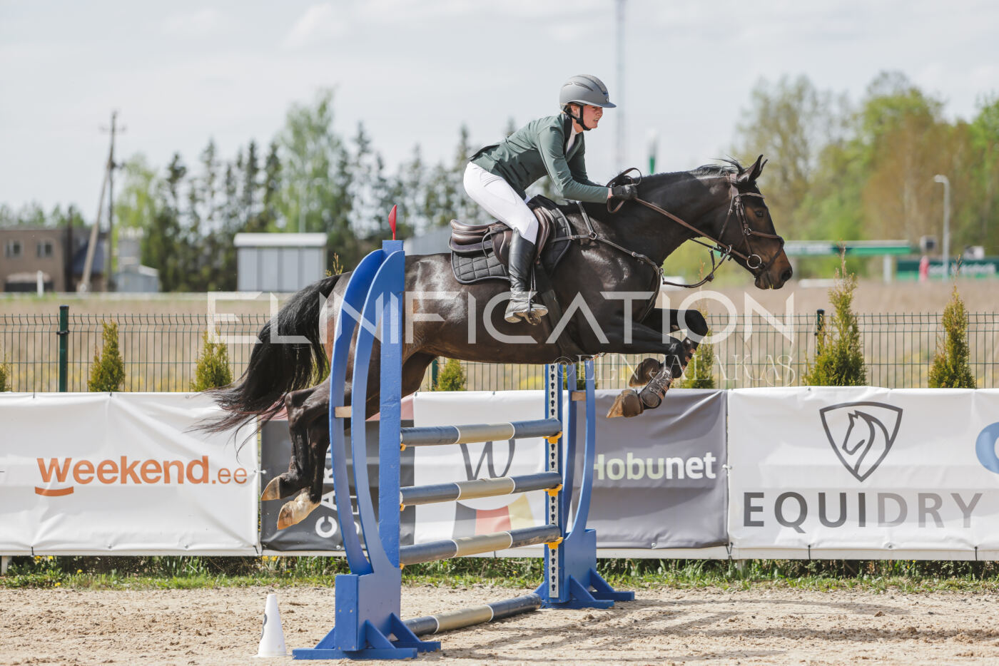Gramina_Kevad_2026_110_372