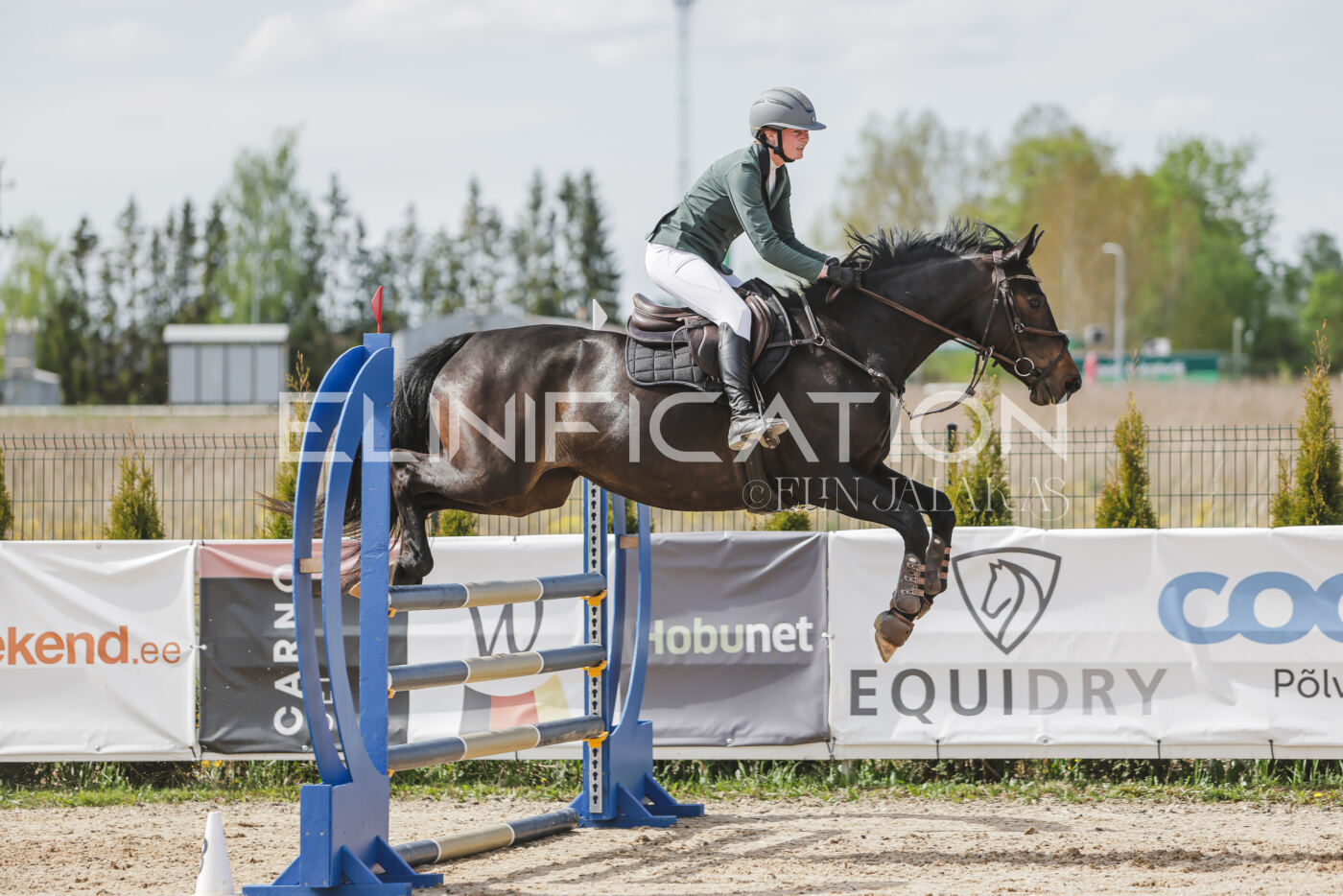 Gramina_Kevad_2026_110_374