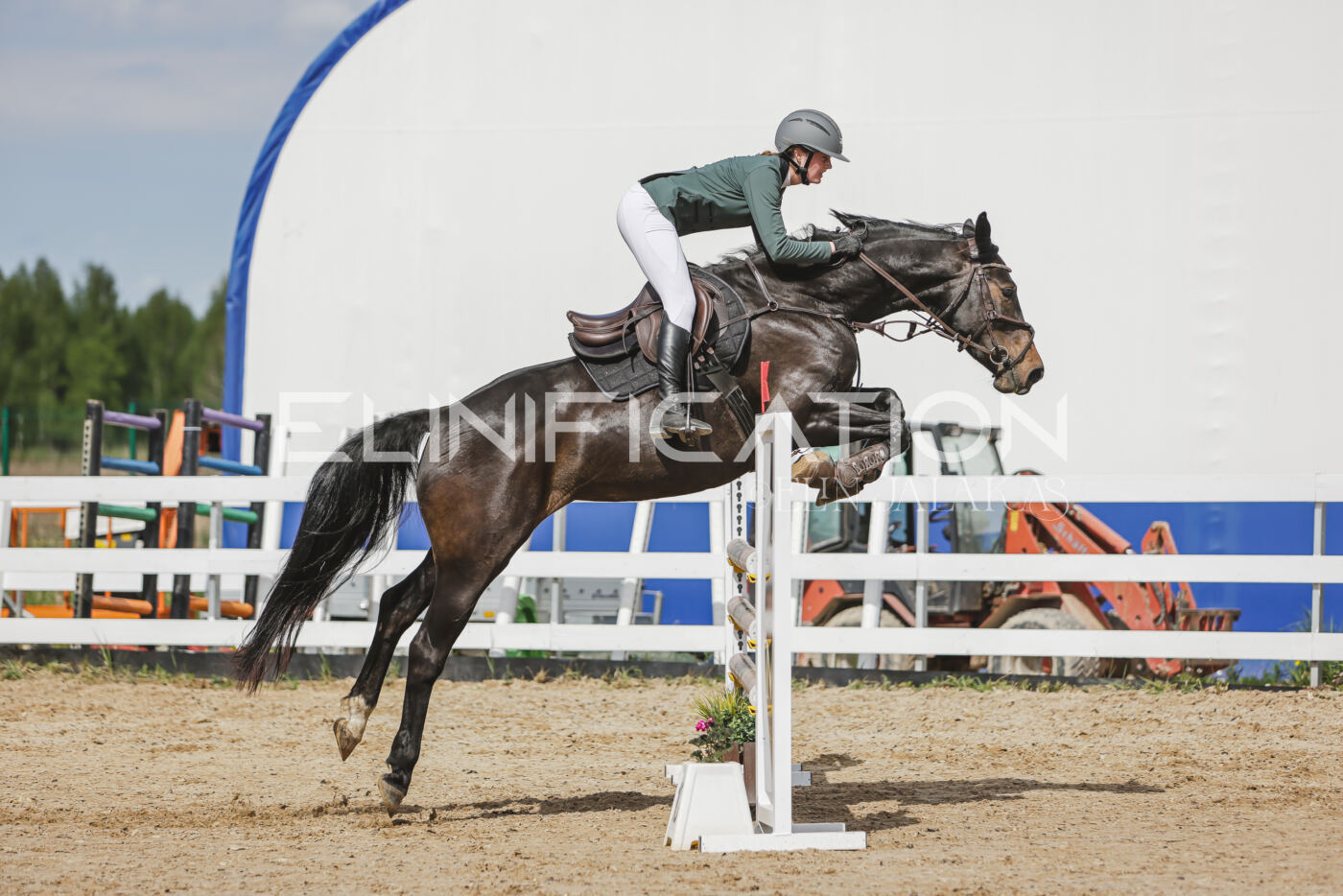 Gramina_Kevad_2026_110_375
