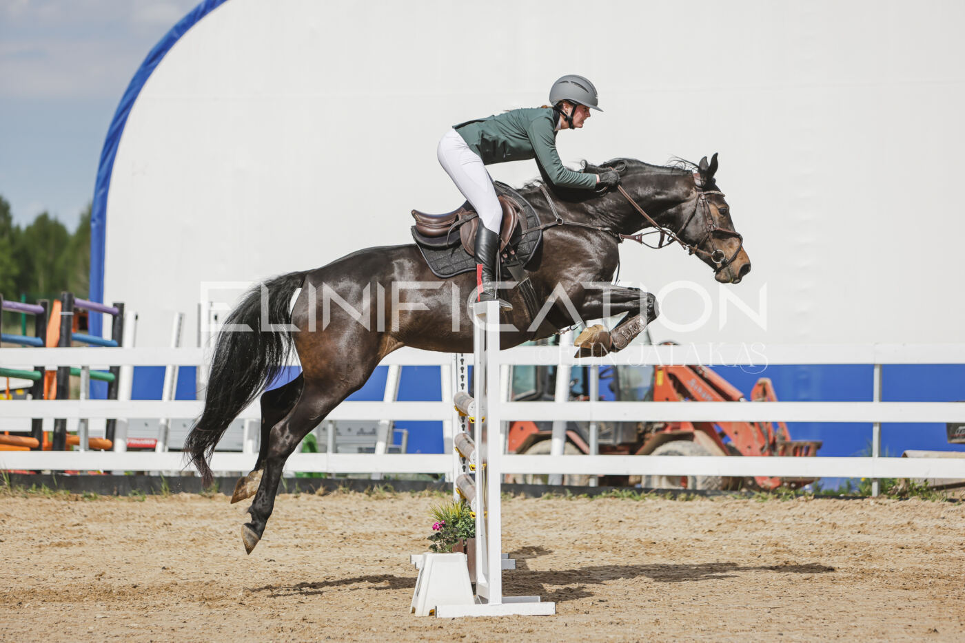 Gramina_Kevad_2026_110_376