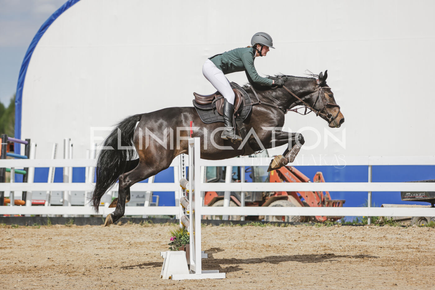 Gramina_Kevad_2026_110_377