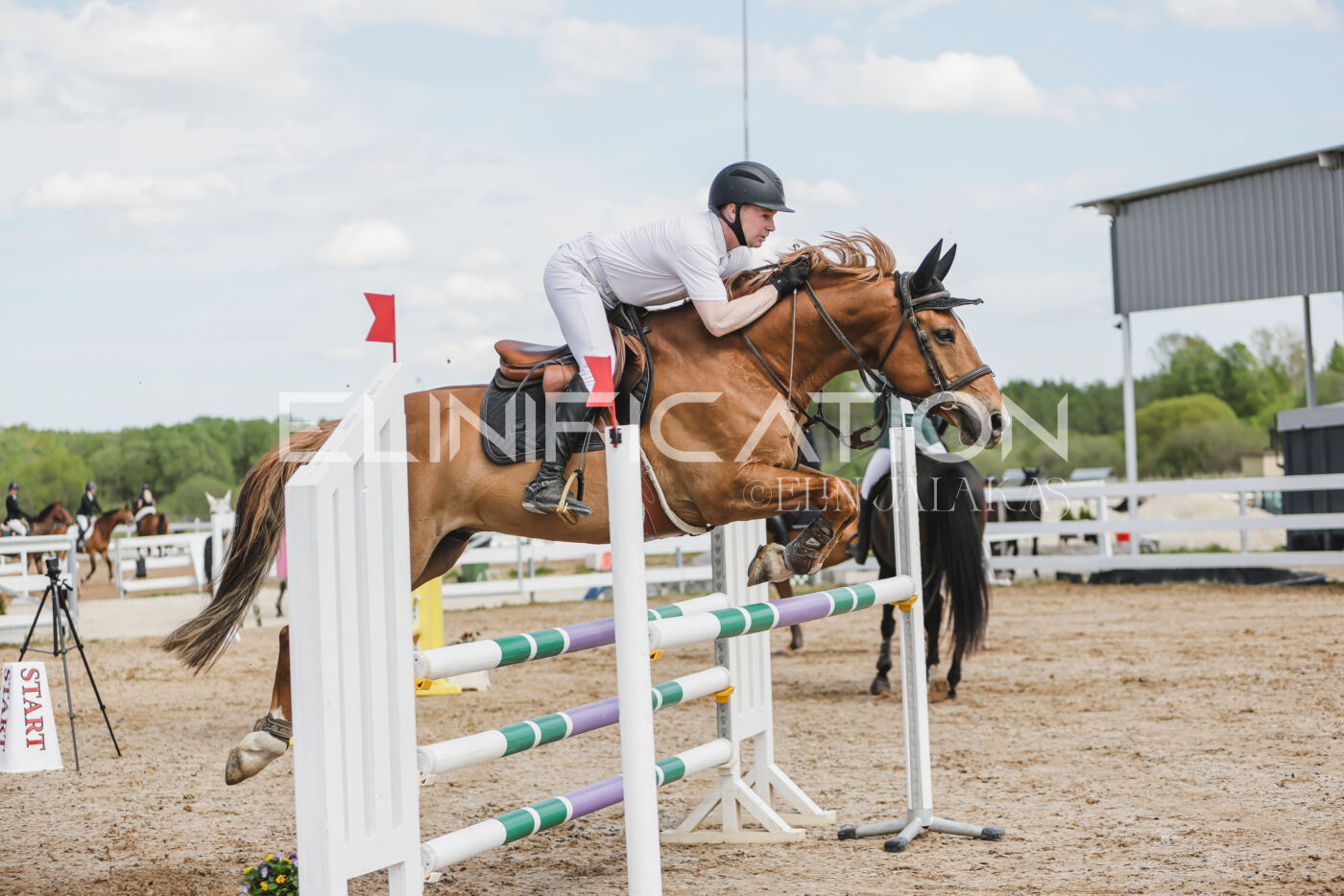 Gramina_Kevad_2026_110_379