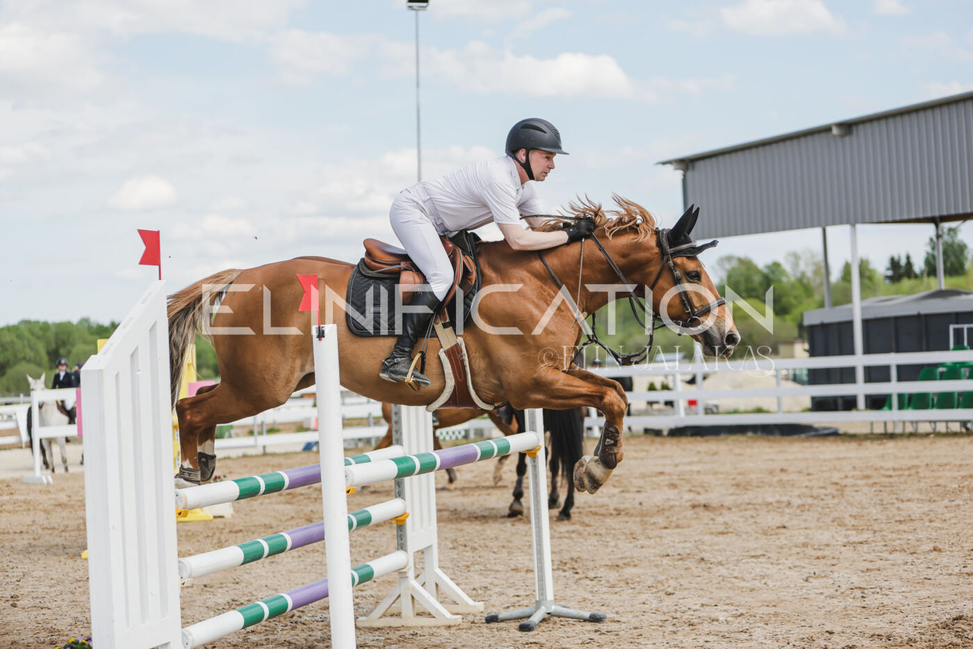 Gramina_Kevad_2026_110_381