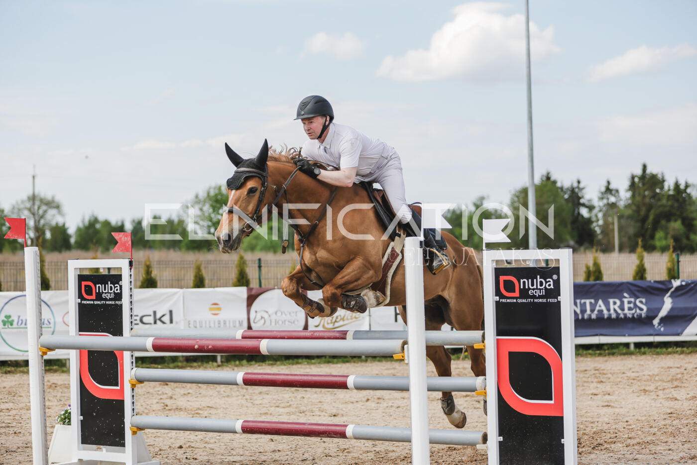 Gramina_Kevad_2026_110_386