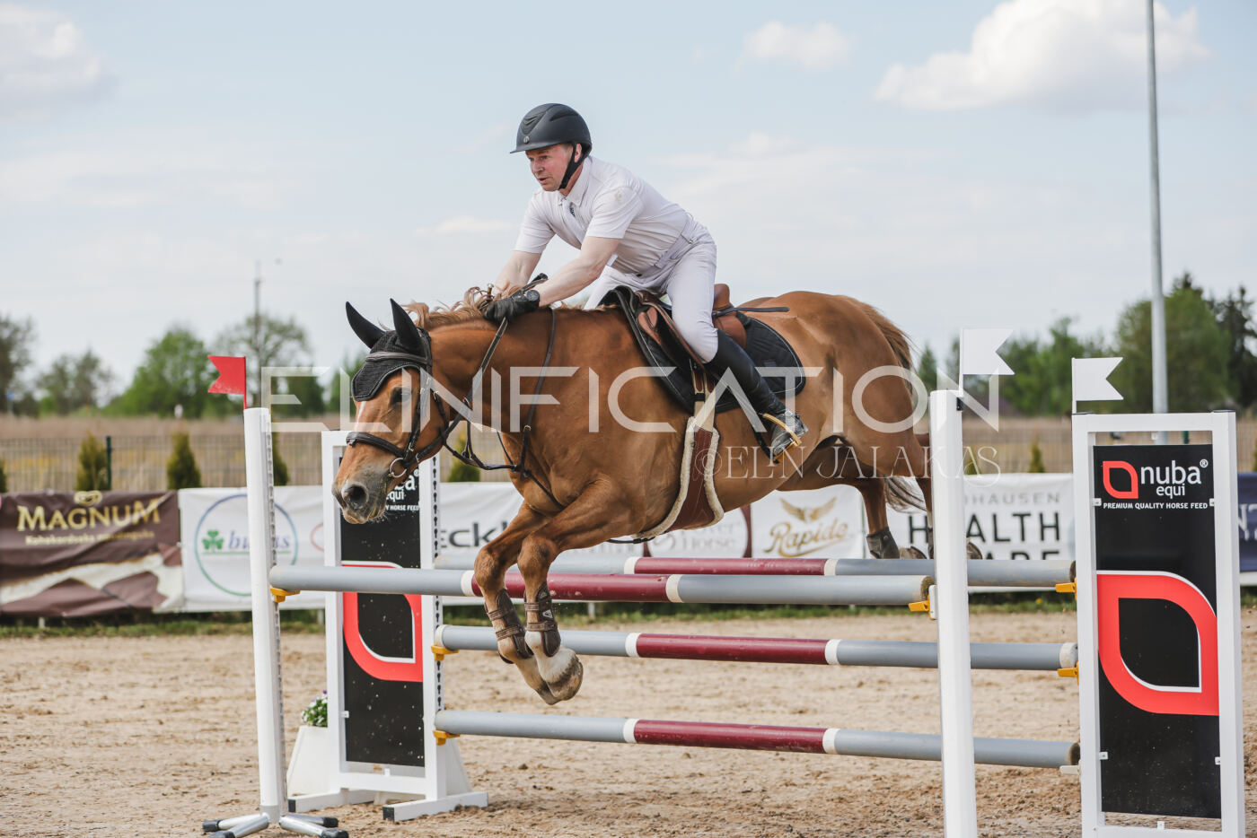 Gramina_Kevad_2026_110_390