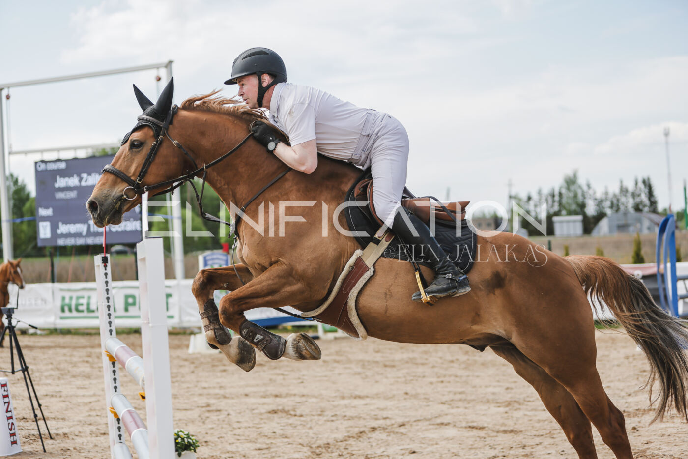 Gramina_Kevad_2026_110_392