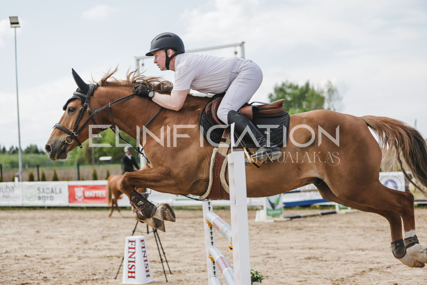 Gramina_Kevad_2026_110_395