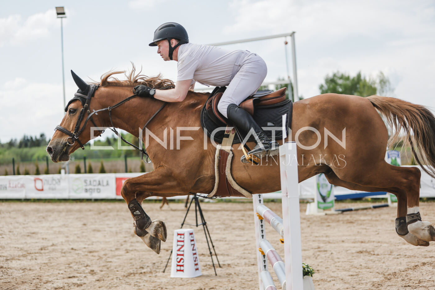 Gramina_Kevad_2026_110_396