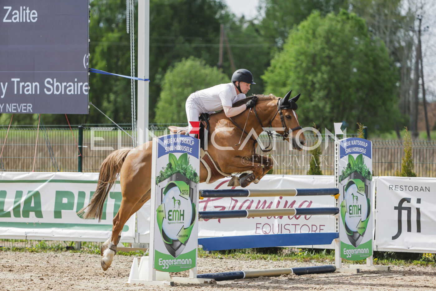 Gramina_Kevad_2026_110_397