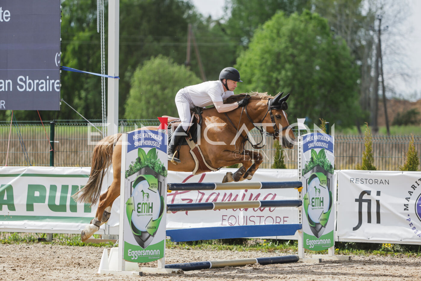Gramina_Kevad_2026_110_398
