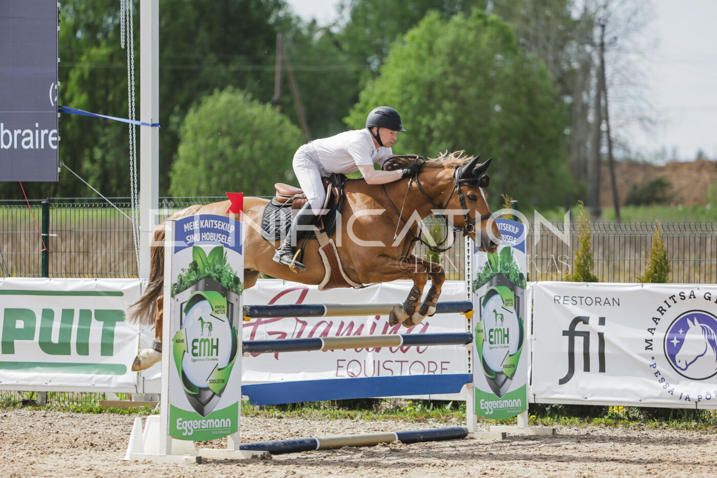 Gramina_Kevad_2026_110_399