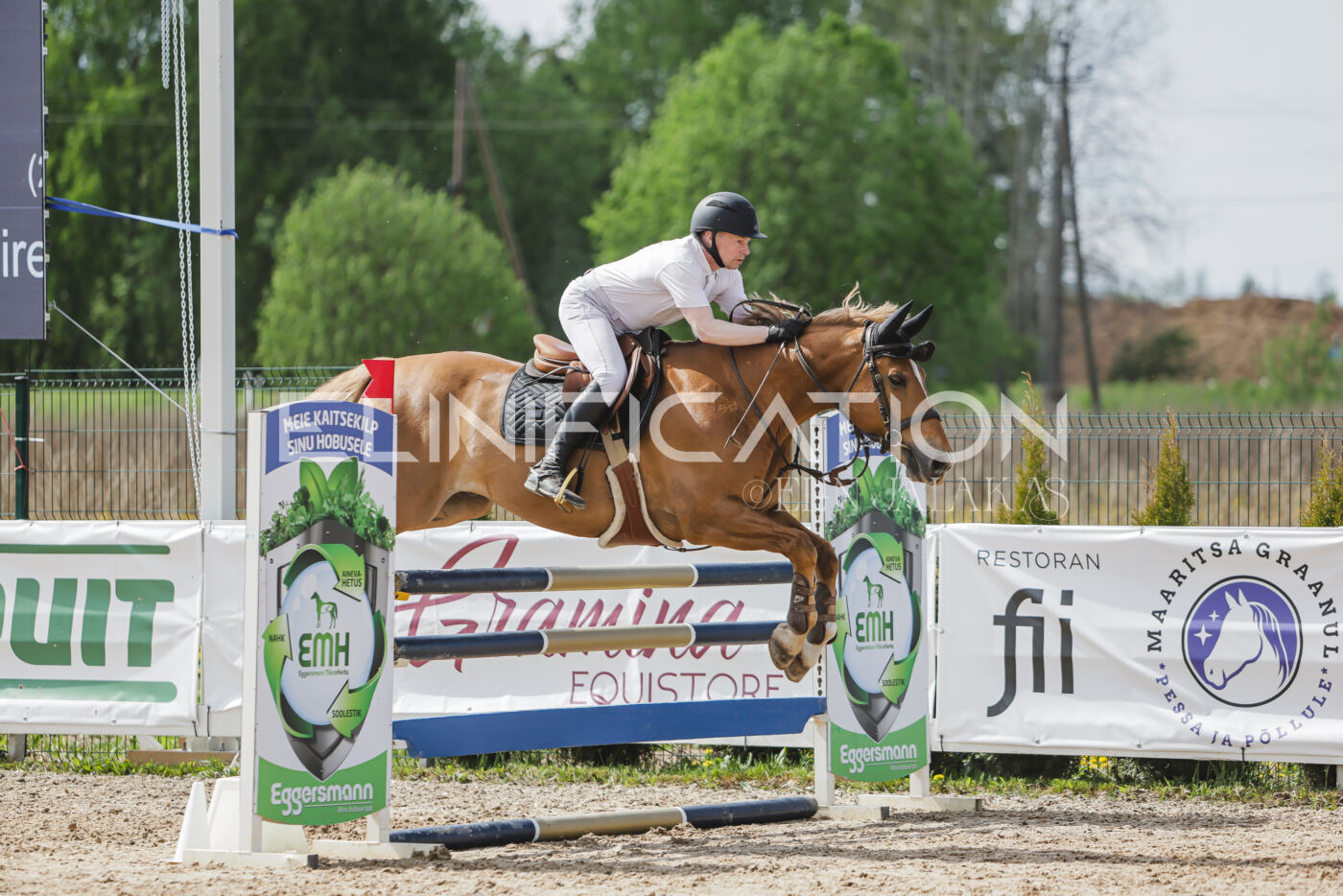 Gramina_Kevad_2026_110_400