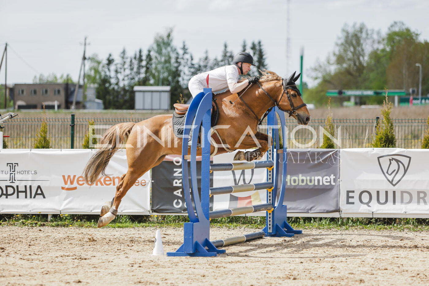 Gramina_Kevad_2026_110_401