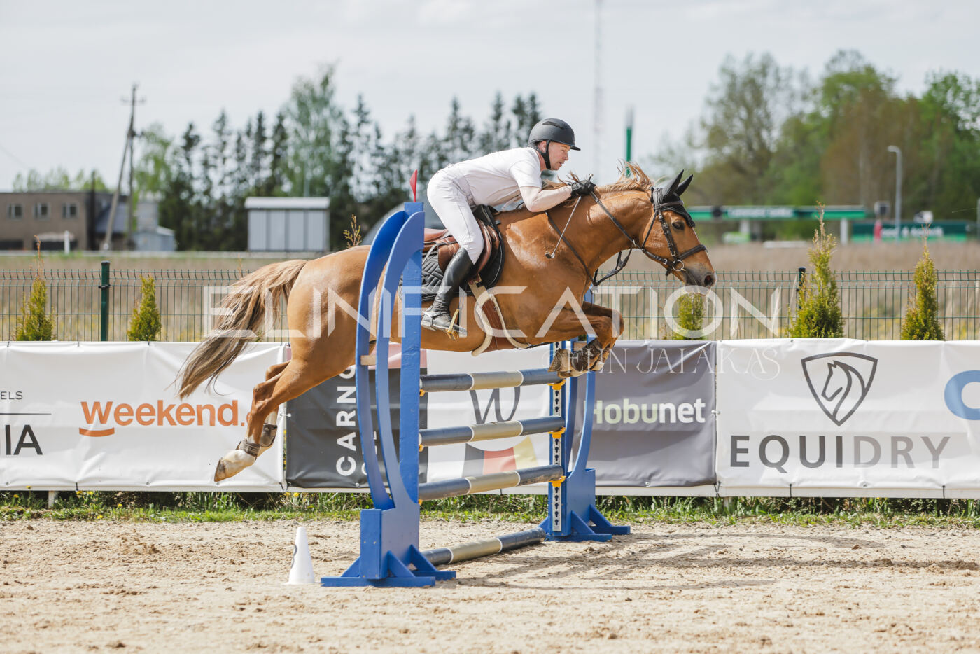Gramina_Kevad_2026_110_402