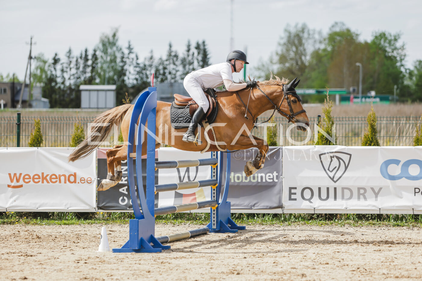 Gramina_Kevad_2026_110_403