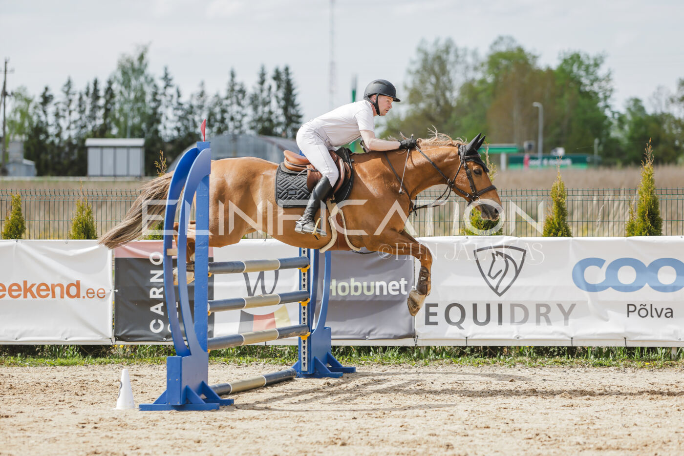 Gramina_Kevad_2026_110_404