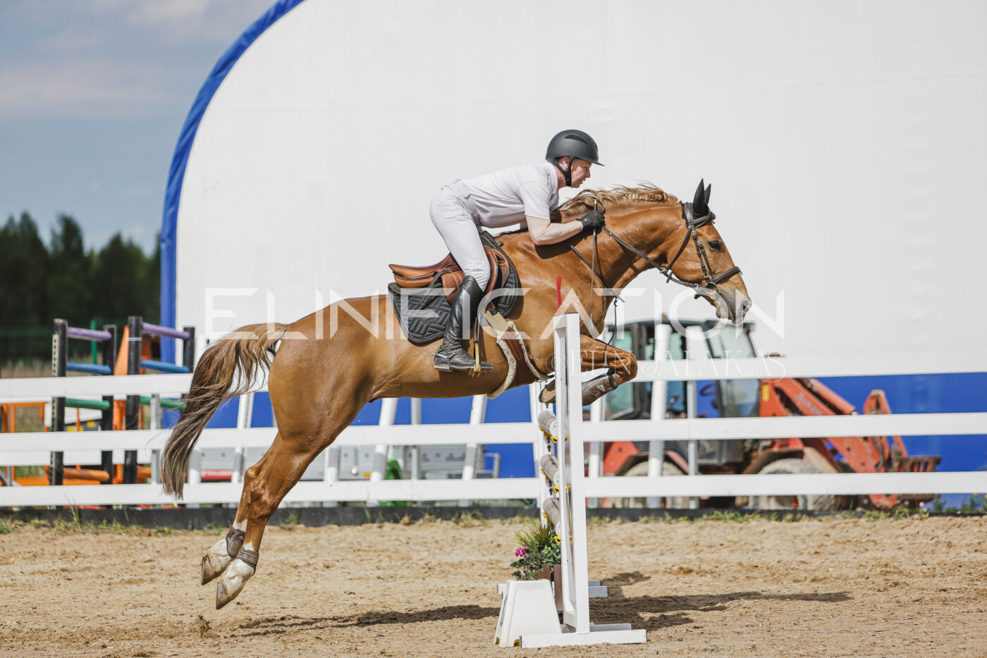 Gramina_Kevad_2026_110_405