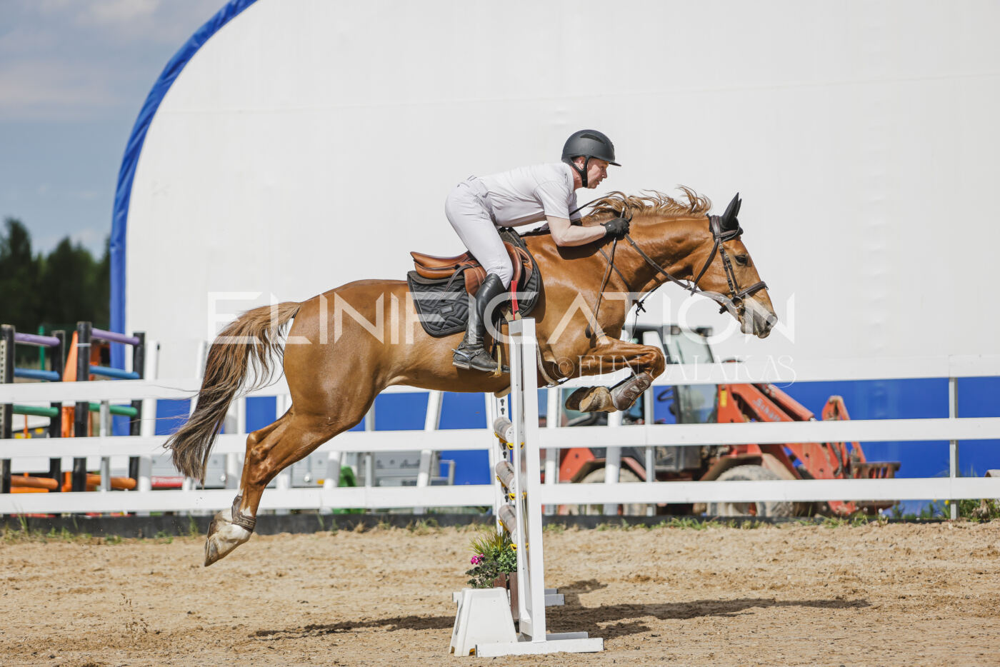 Gramina_Kevad_2026_110_406