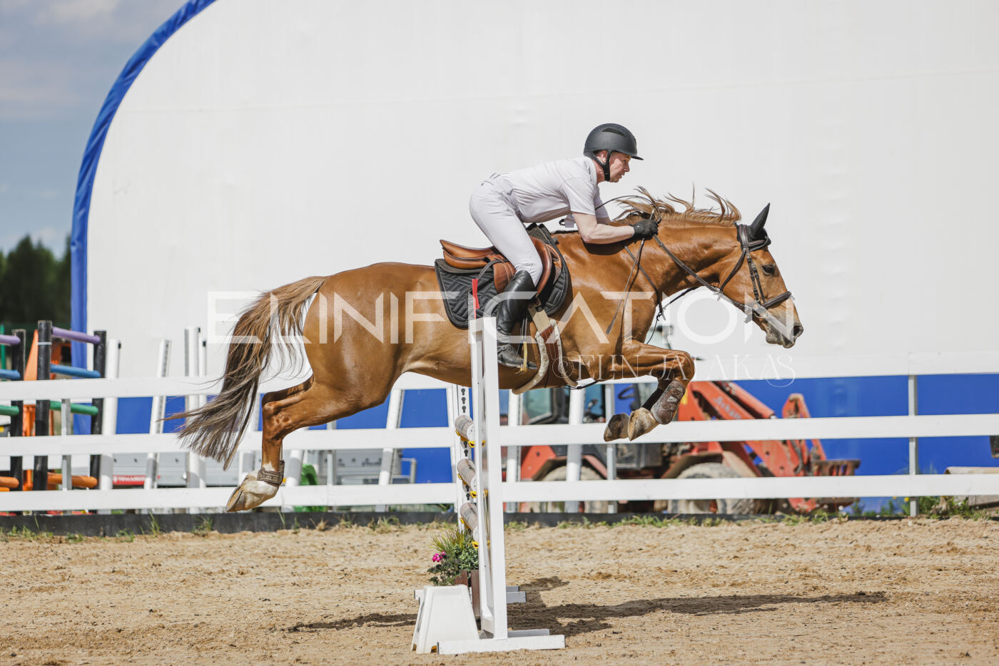Gramina_Kevad_2026_110_407