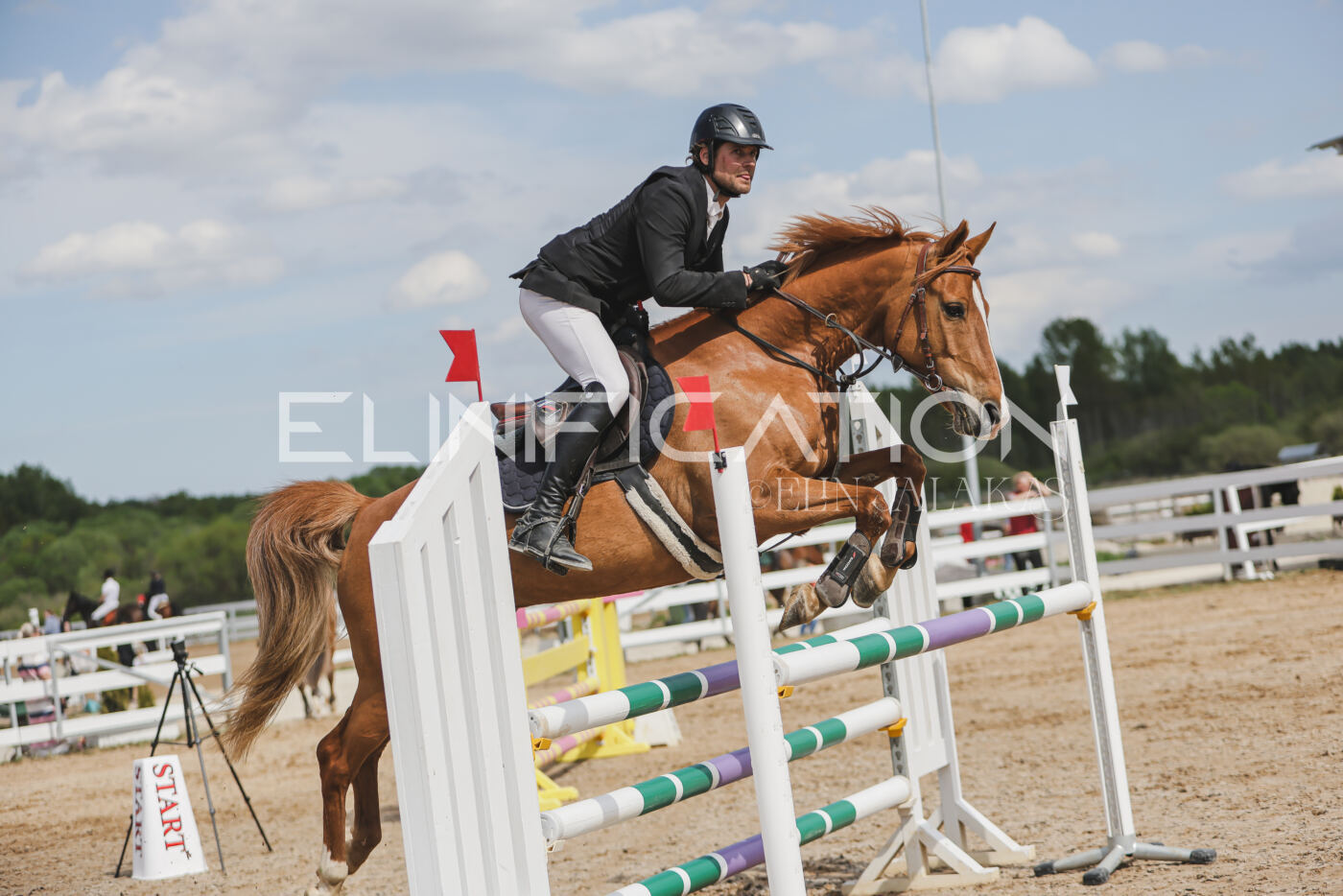 Gramina_Kevad_2026_110_408