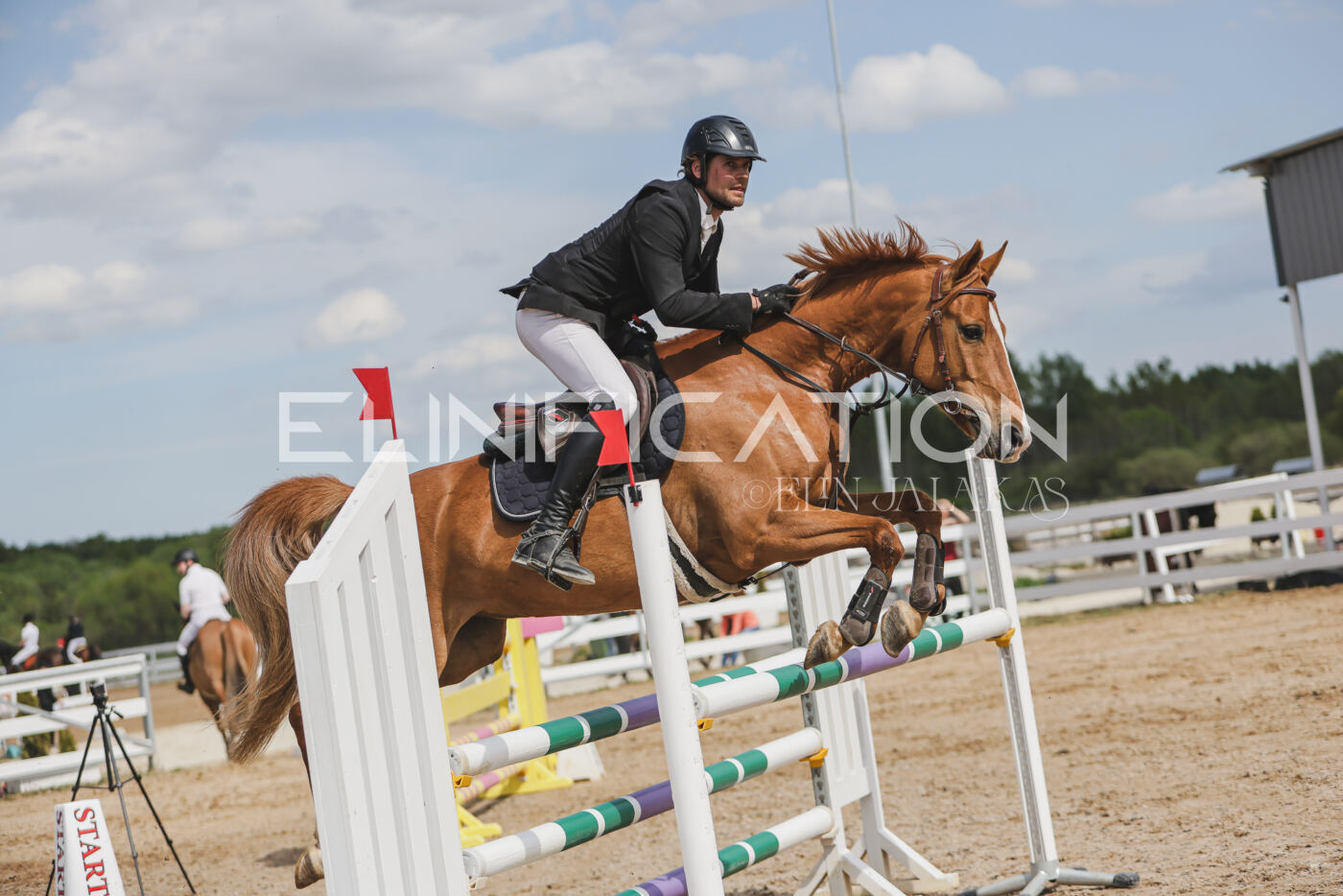 Gramina_Kevad_2026_110_409