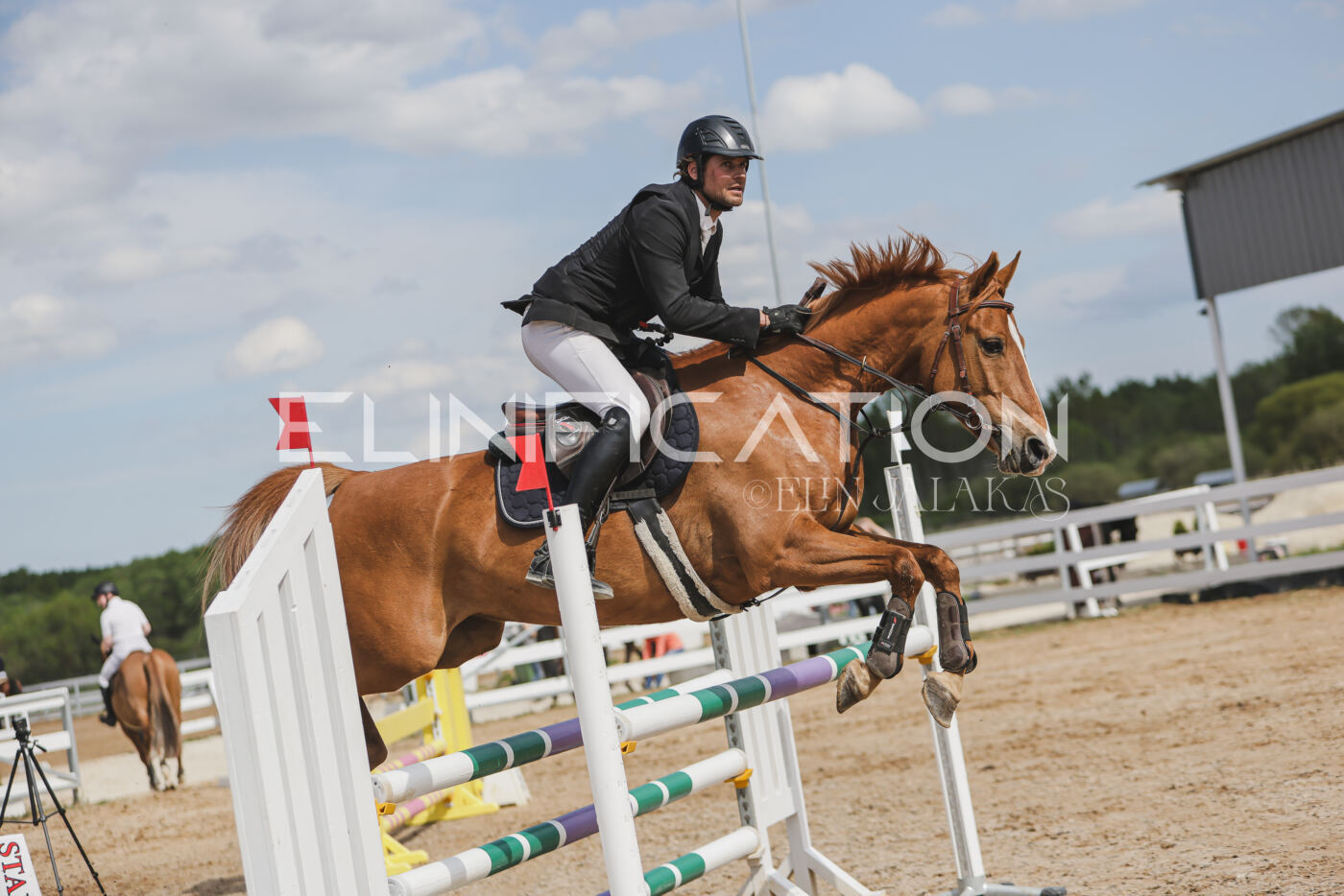 Gramina_Kevad_2026_110_410