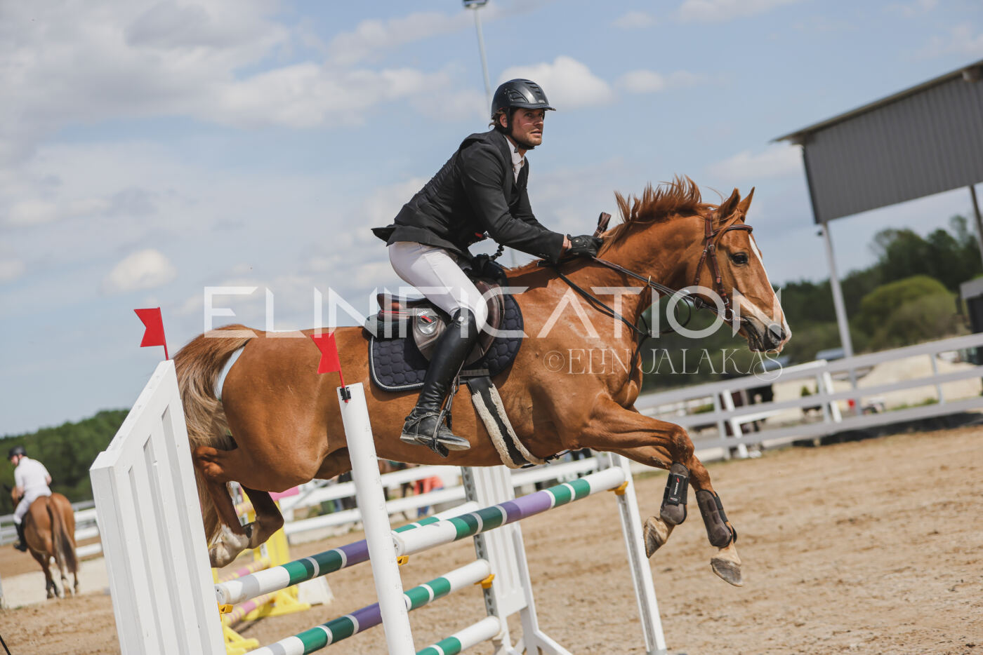 Gramina_Kevad_2026_110_411