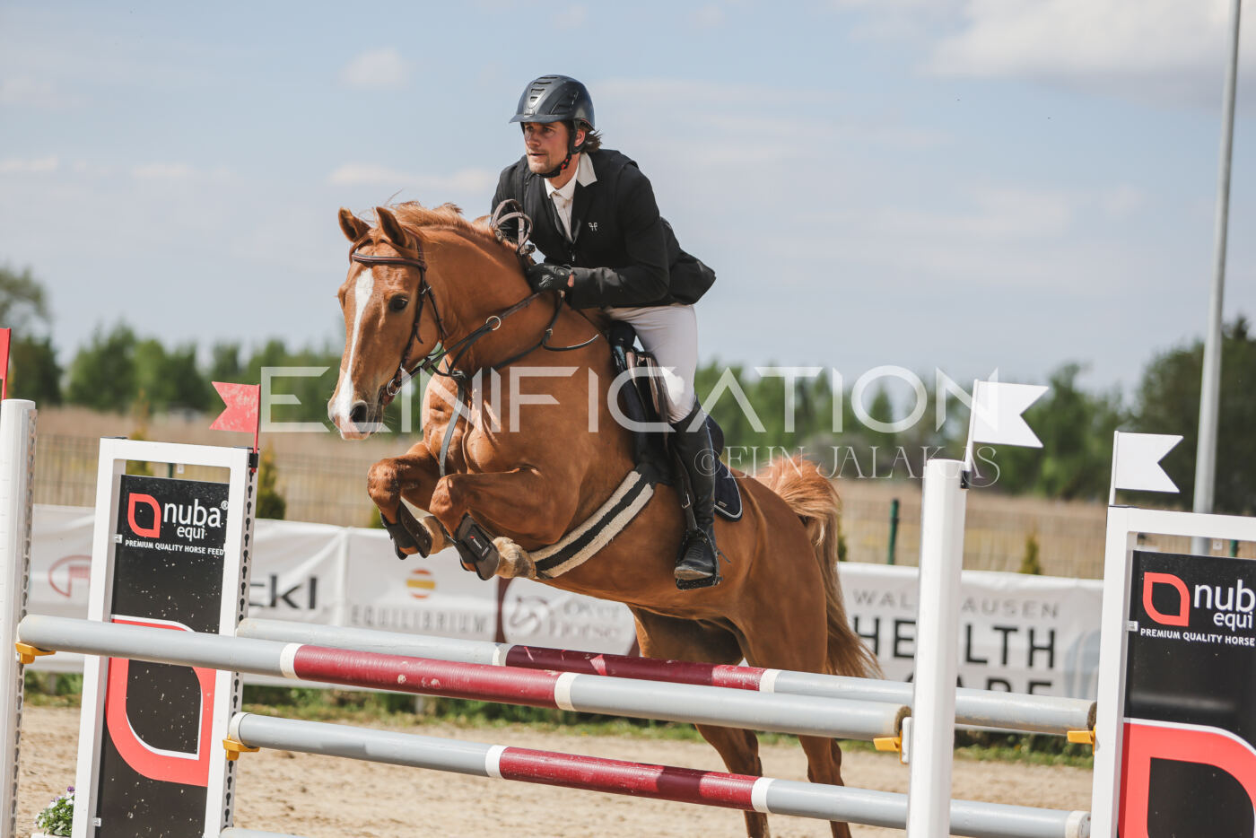 Gramina_Kevad_2026_110_416