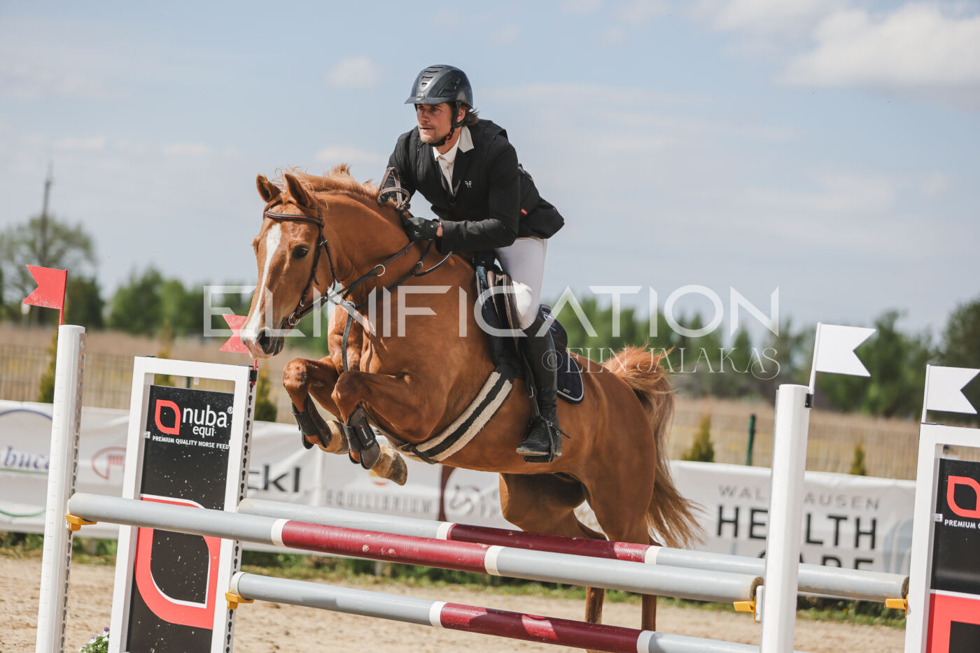 Gramina_Kevad_2026_110_417