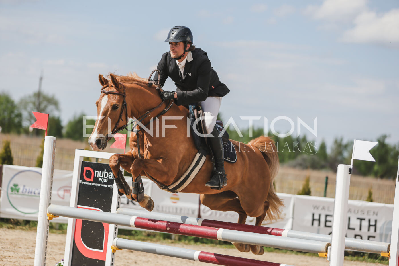 Gramina_Kevad_2026_110_418