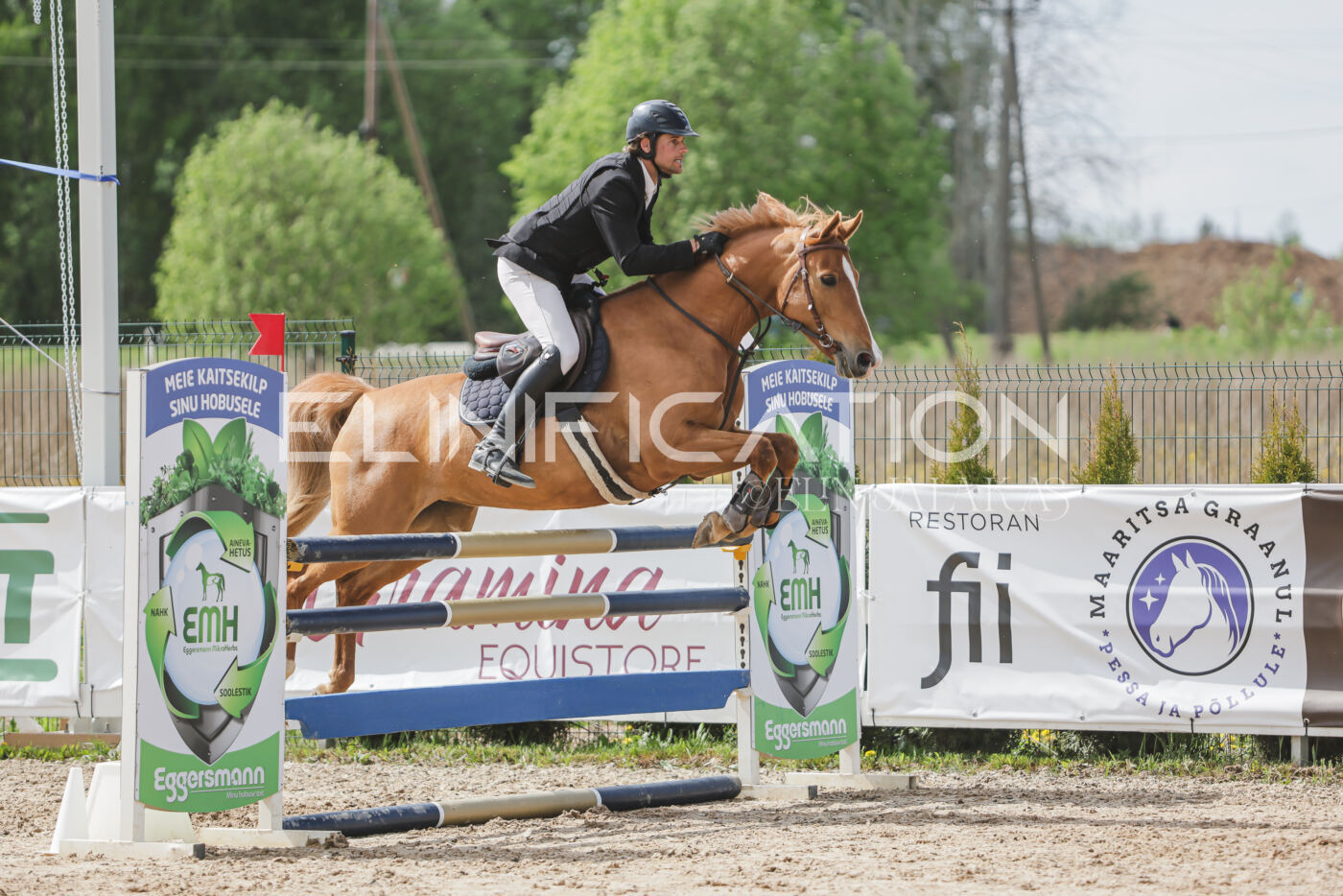 Gramina_Kevad_2026_110_421