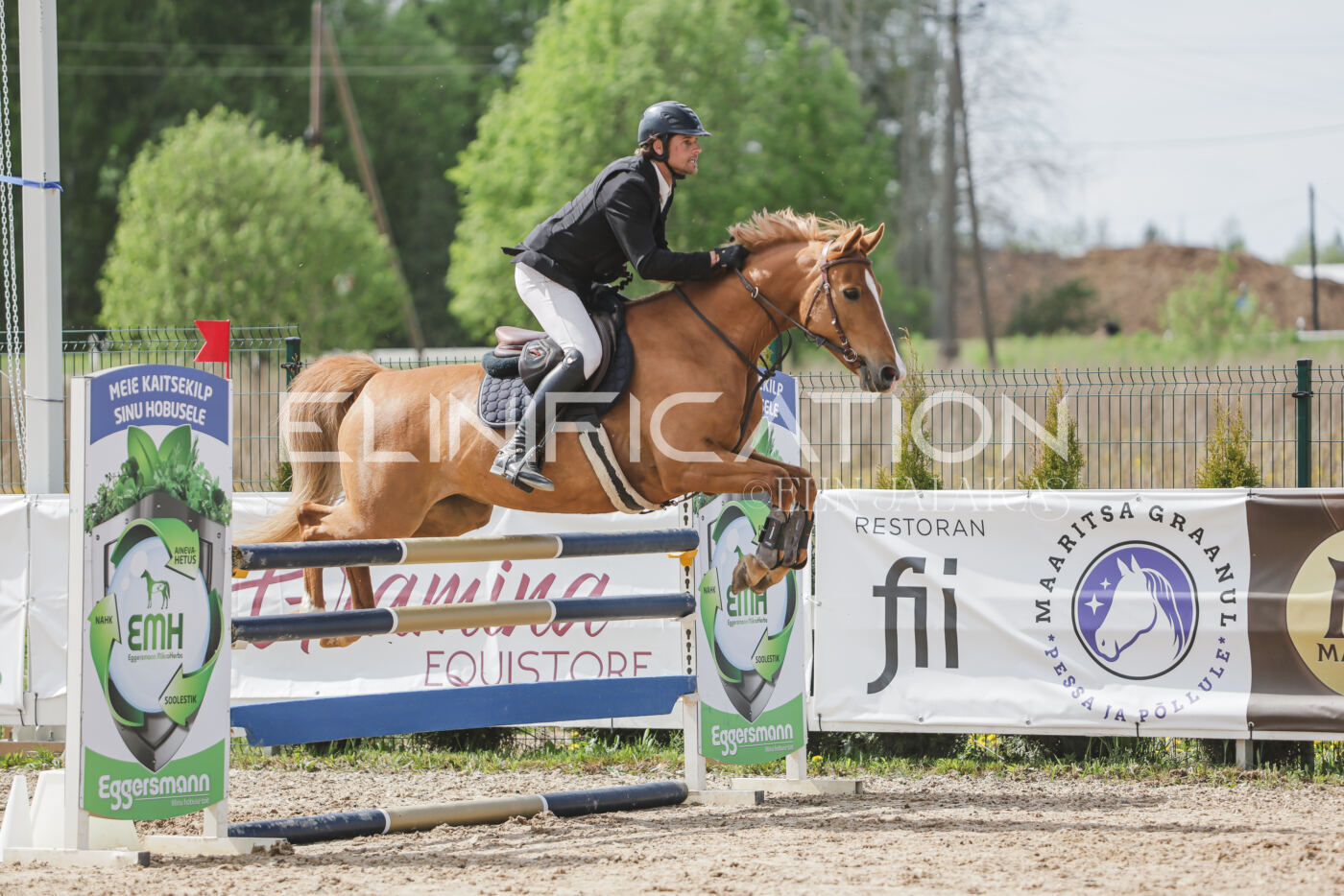 Gramina_Kevad_2026_110_422