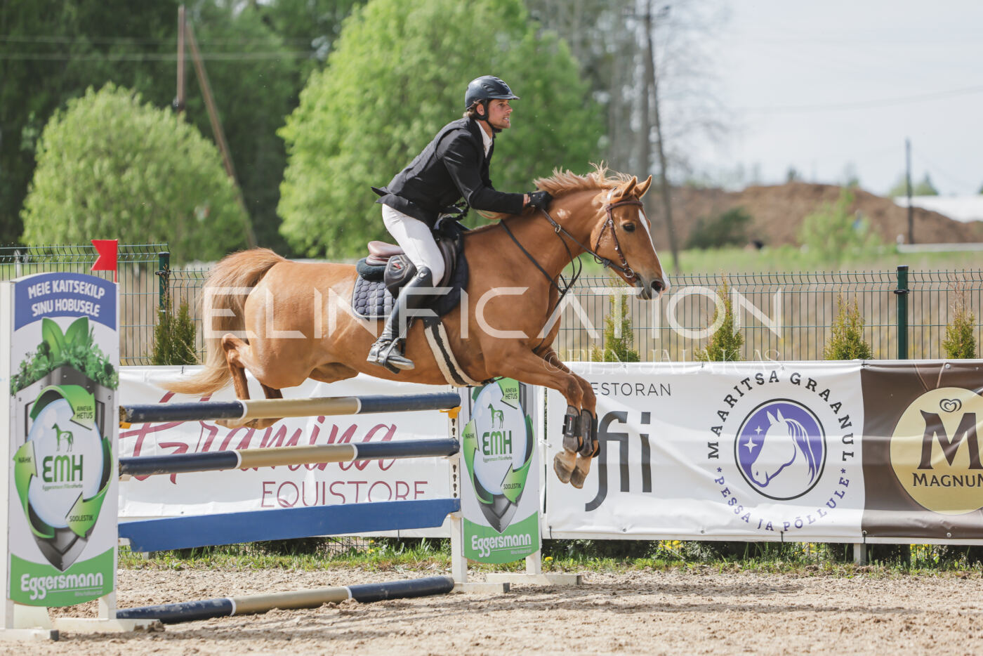 Gramina_Kevad_2026_110_423