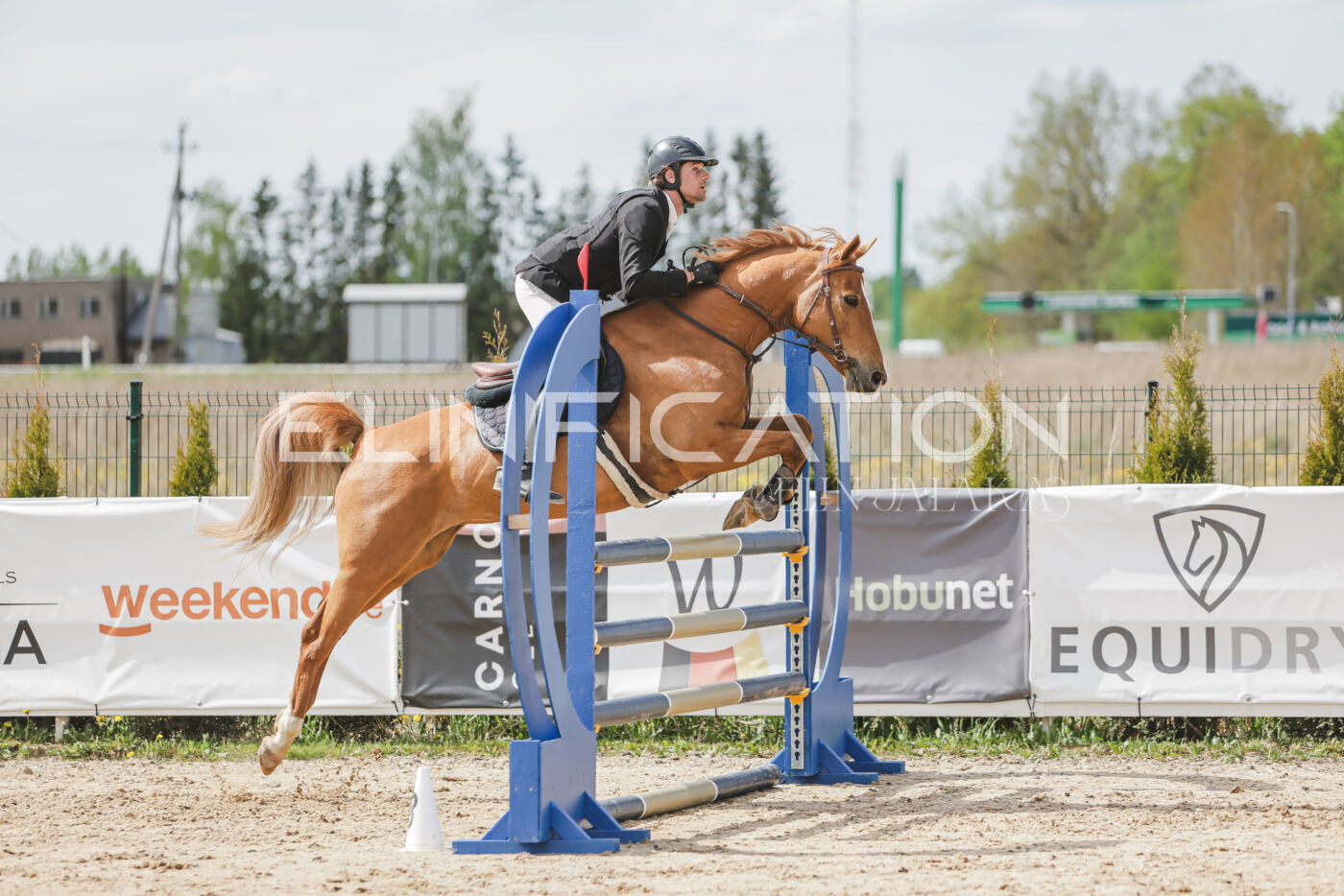 Gramina_Kevad_2026_110_425