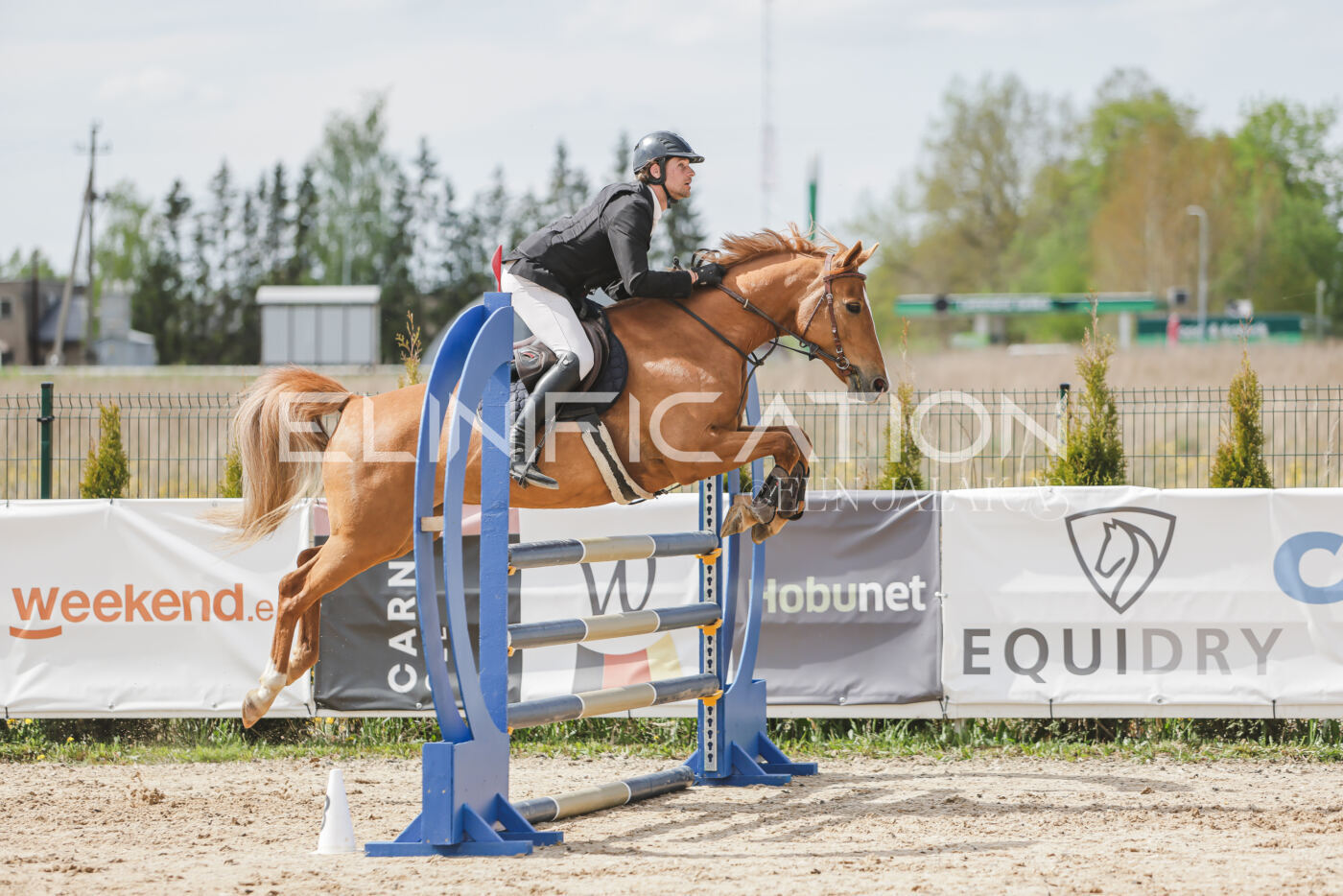 Gramina_Kevad_2026_110_426