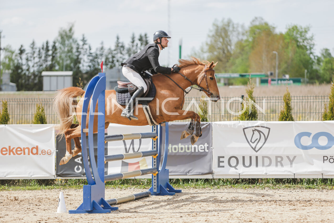 Gramina_Kevad_2026_110_427