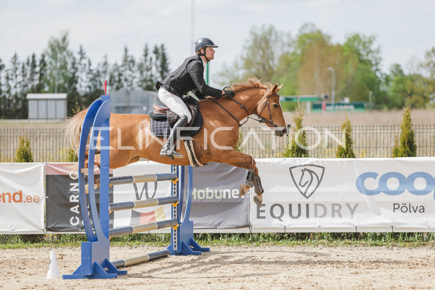 Gramina_Kevad_2026_110_428