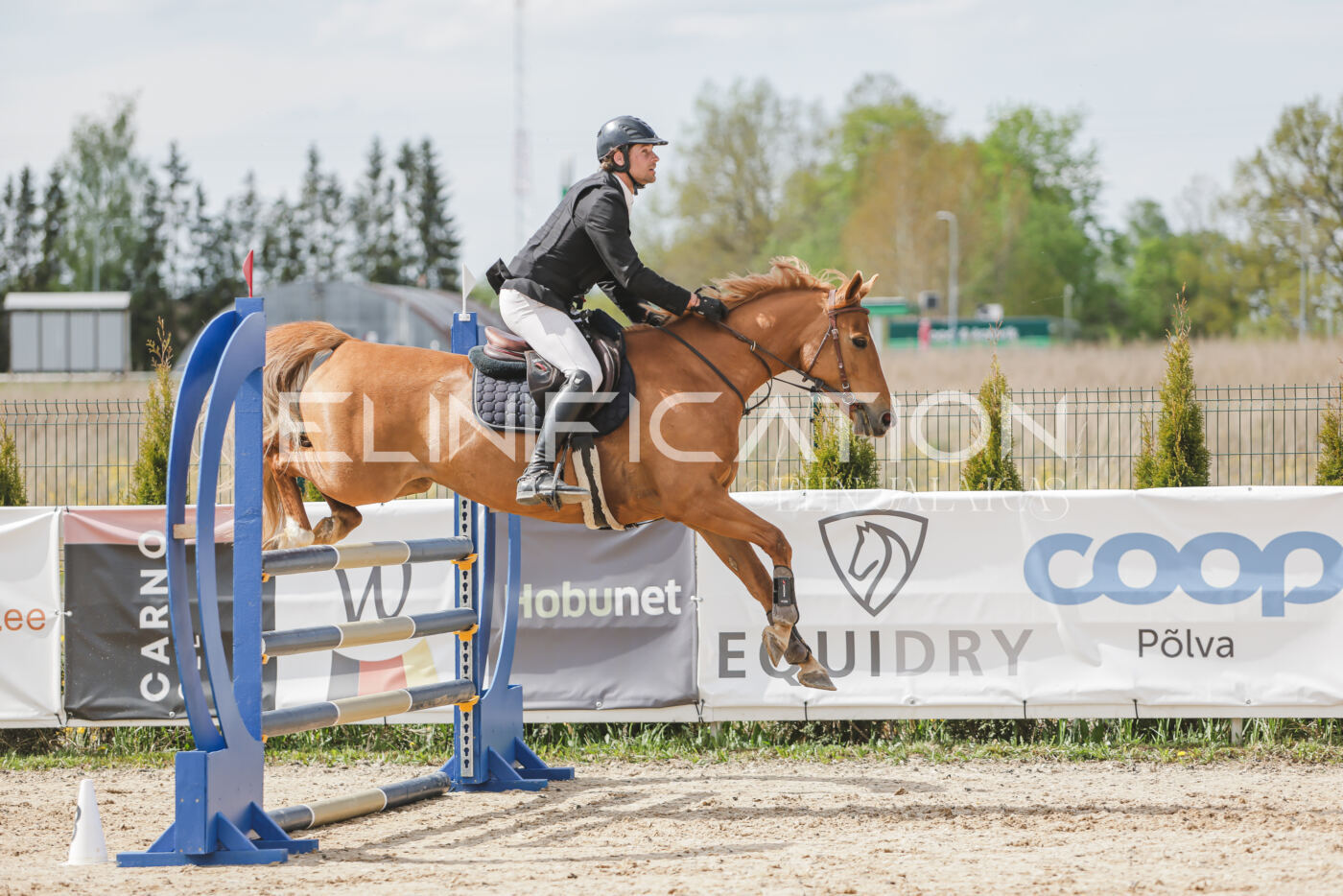 Gramina_Kevad_2026_110_429